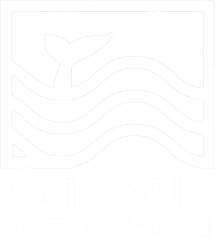 Kaimana Ocean Safari